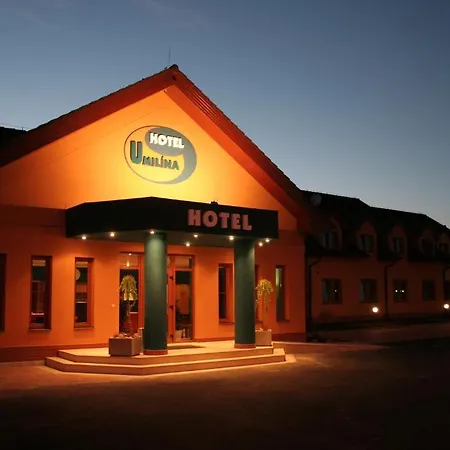 Hotel U Milina 4*